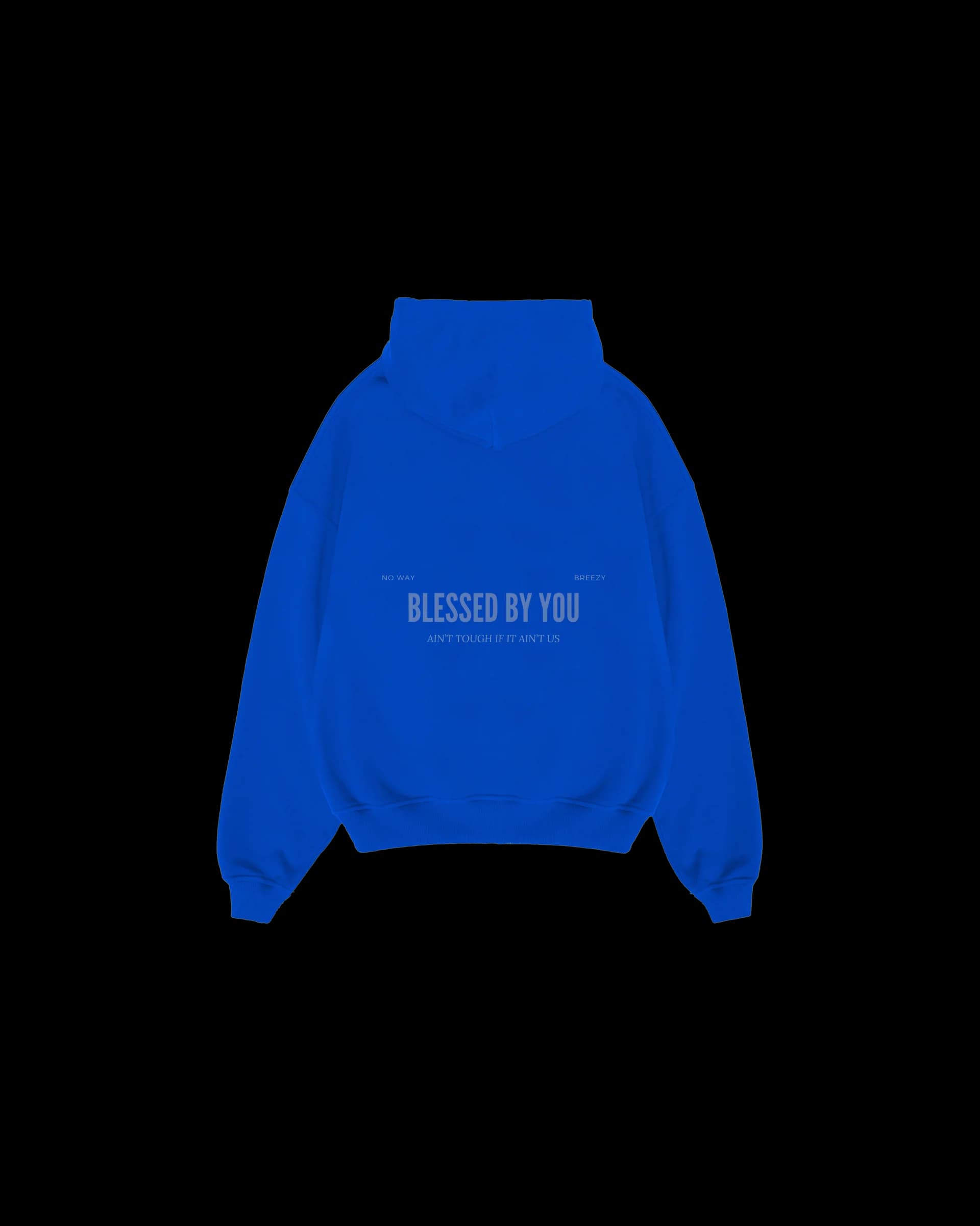Hoodie Royal Blue back